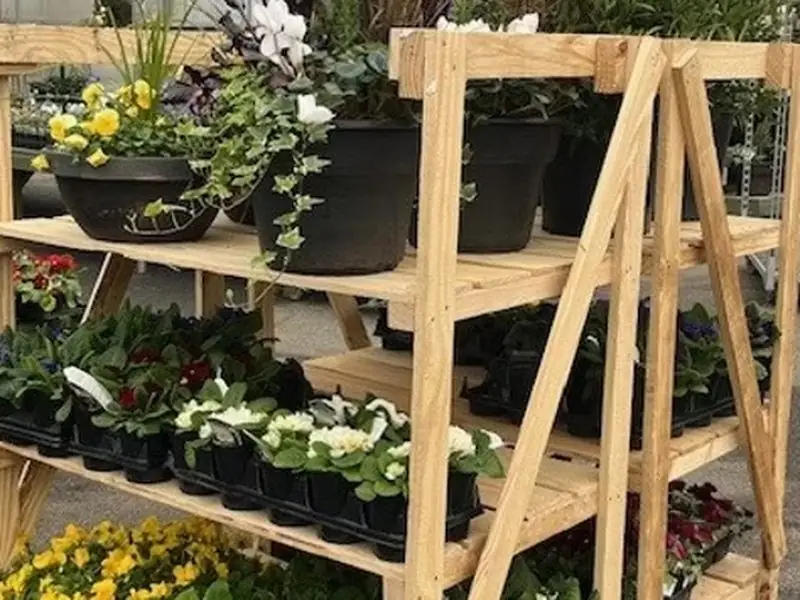Wooden nursery display racks filled with flowering plants